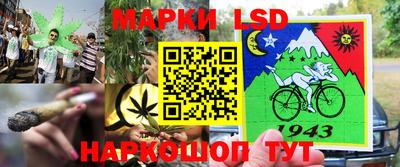 PSILOCYBIN Кинель