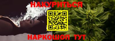 jwh Кингисепп