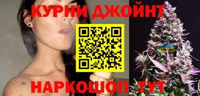 jwh Кингисепп