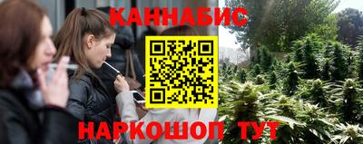 jwh Кингисепп