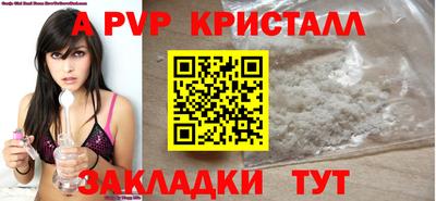 jwh Кингисепп