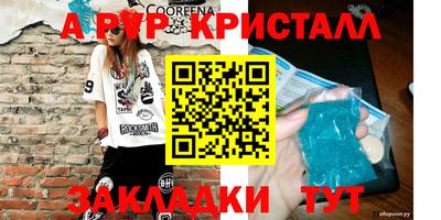 jwh Кингисепп